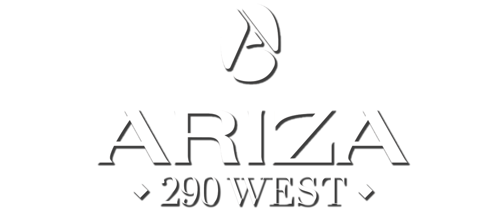 Ariza Apartments Dripping Springs